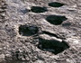Impronte di dinosauri Lavini di Marco Rovereto